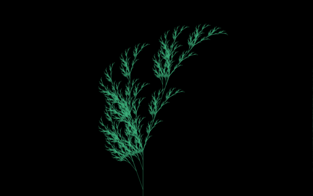 Creative coding piece CI-03: a green fern growing on a black ground