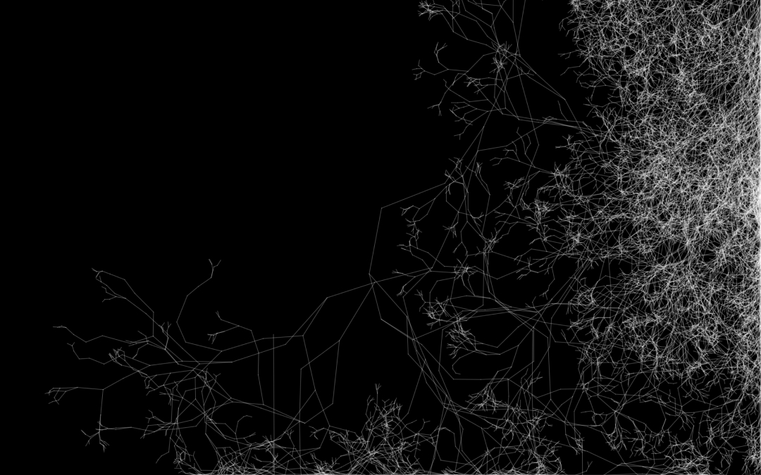 CI-06: Fine white branches sprawl across a black surface