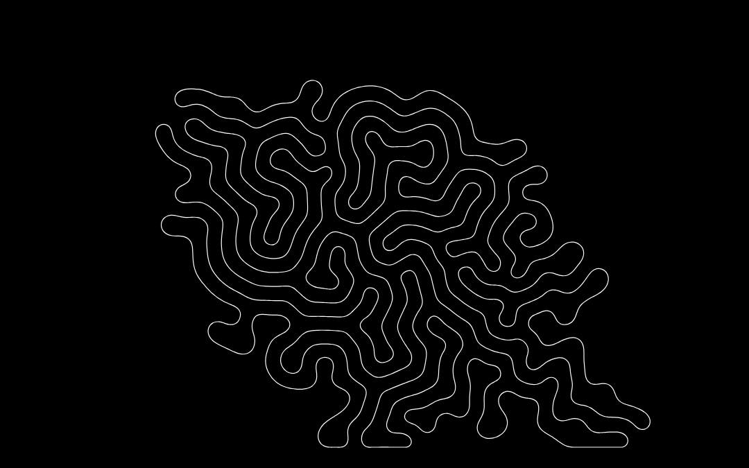 CI-17: A white line on black, folded into dense coral-like windings